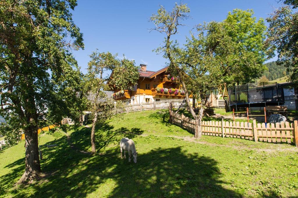 Appartements Lehenhof Санкт Йохан им Понгау Екстериор снимка